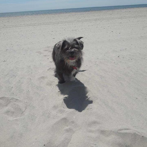 🎉Meet your Posher Serena🥞 - Picture 4 of 4